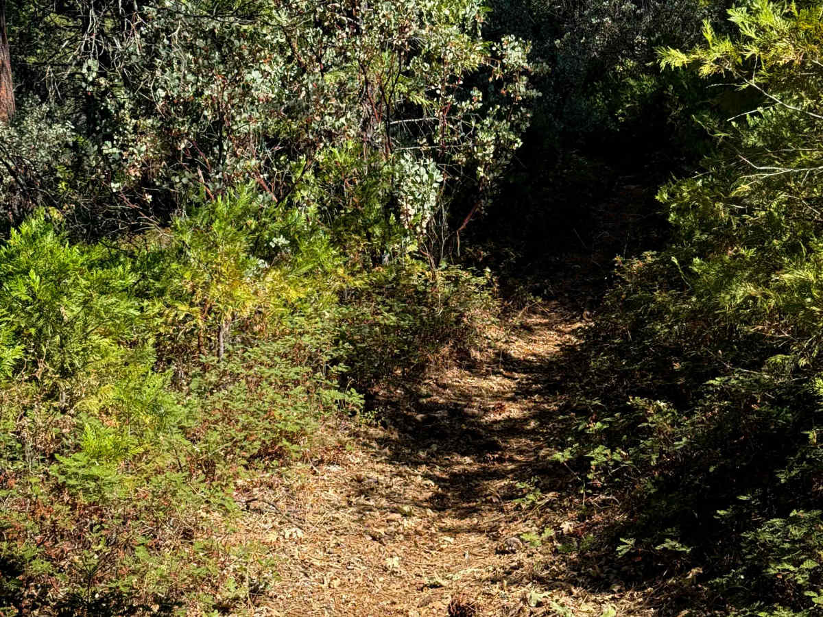 16EV254 trail photo
