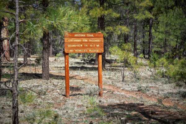 Rim Trail Road