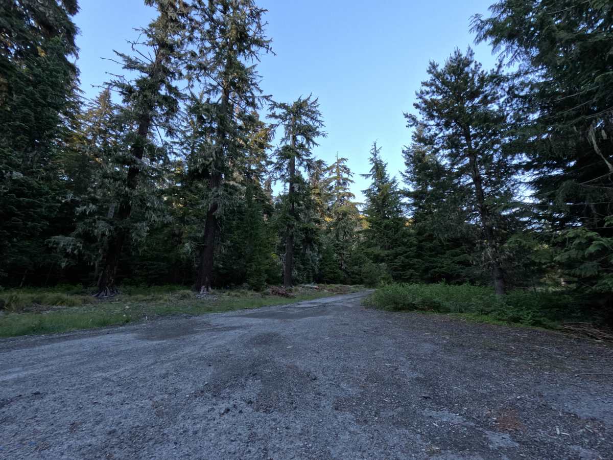 Frog Lake Butte - FS 2610-220 trail photo