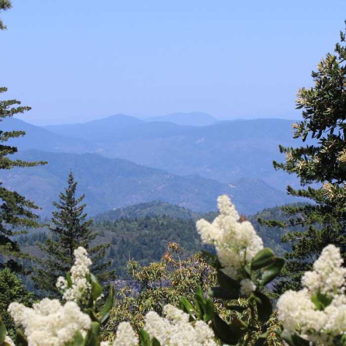 Near Mount Saint Helena