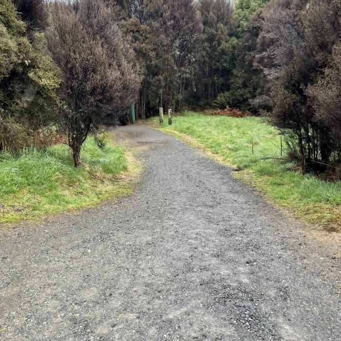 Near McLean Falls Walk