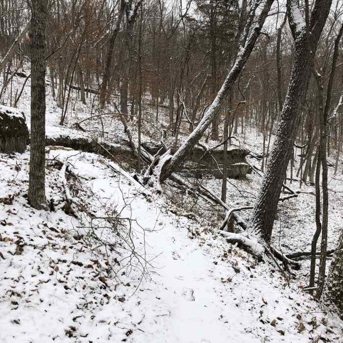 Near Sandstone Canyon Trail