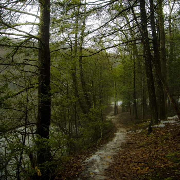 Zoar Trail Near Zoar Trail