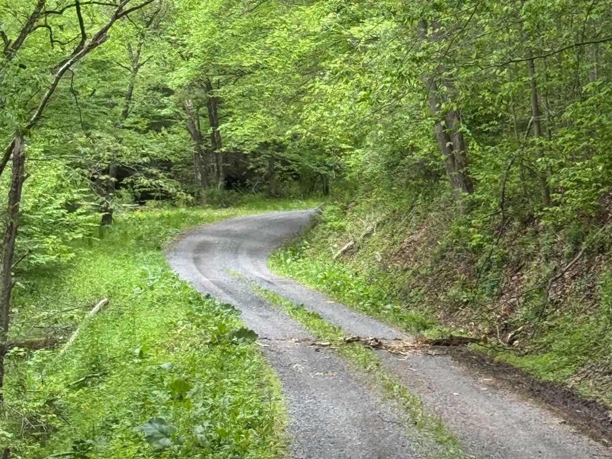 Little Greenlick Road photo 3