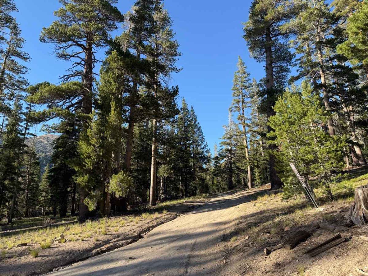 Jobs Peak Trail Spur - FS 31051A photo 2