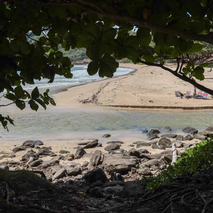 Near Pools of Mokolea