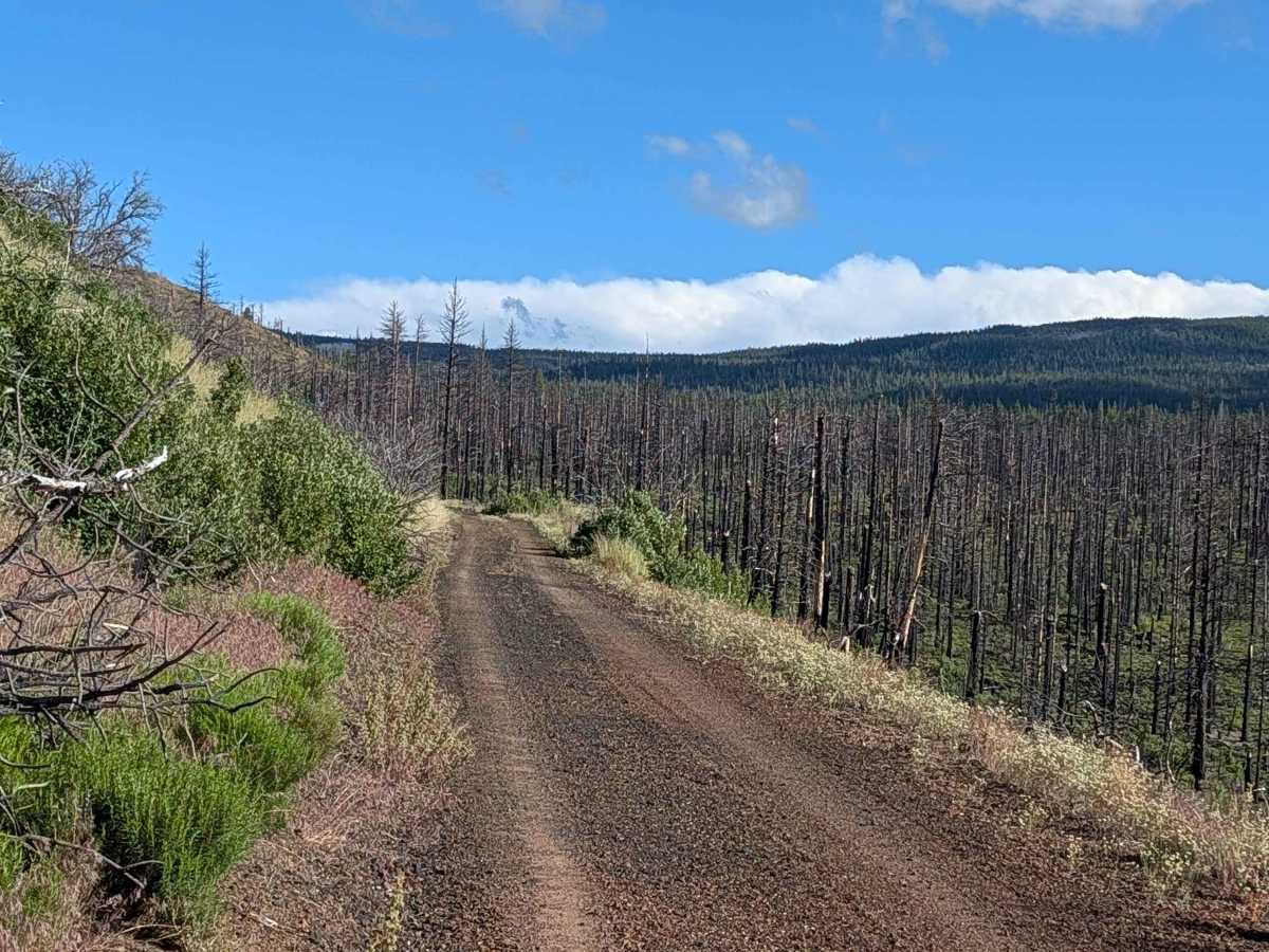 FS 44N23 trail photo