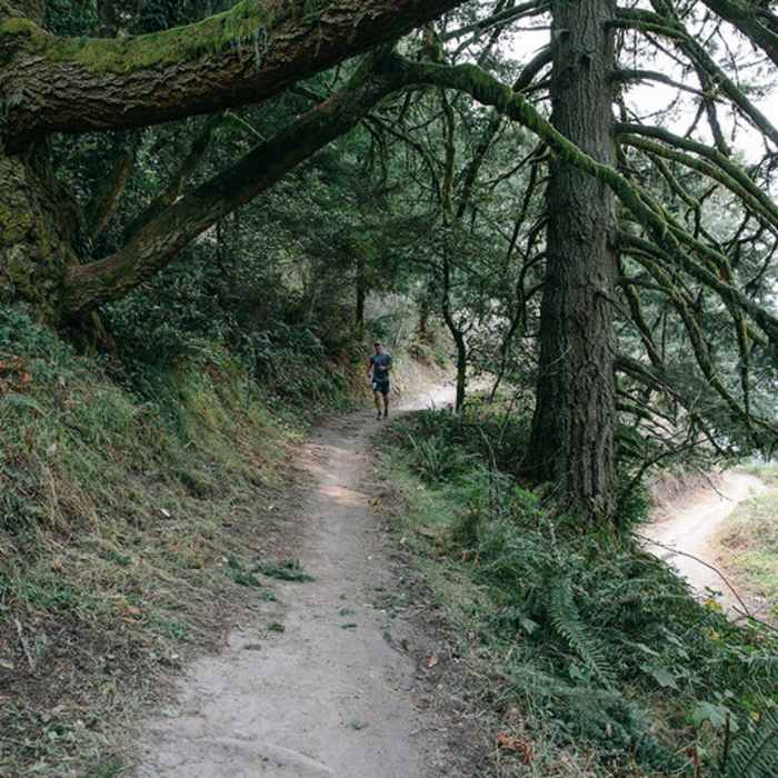 Near Bay Area Ridge Trail: Purisima Creek Redwoods Open Space Preserve