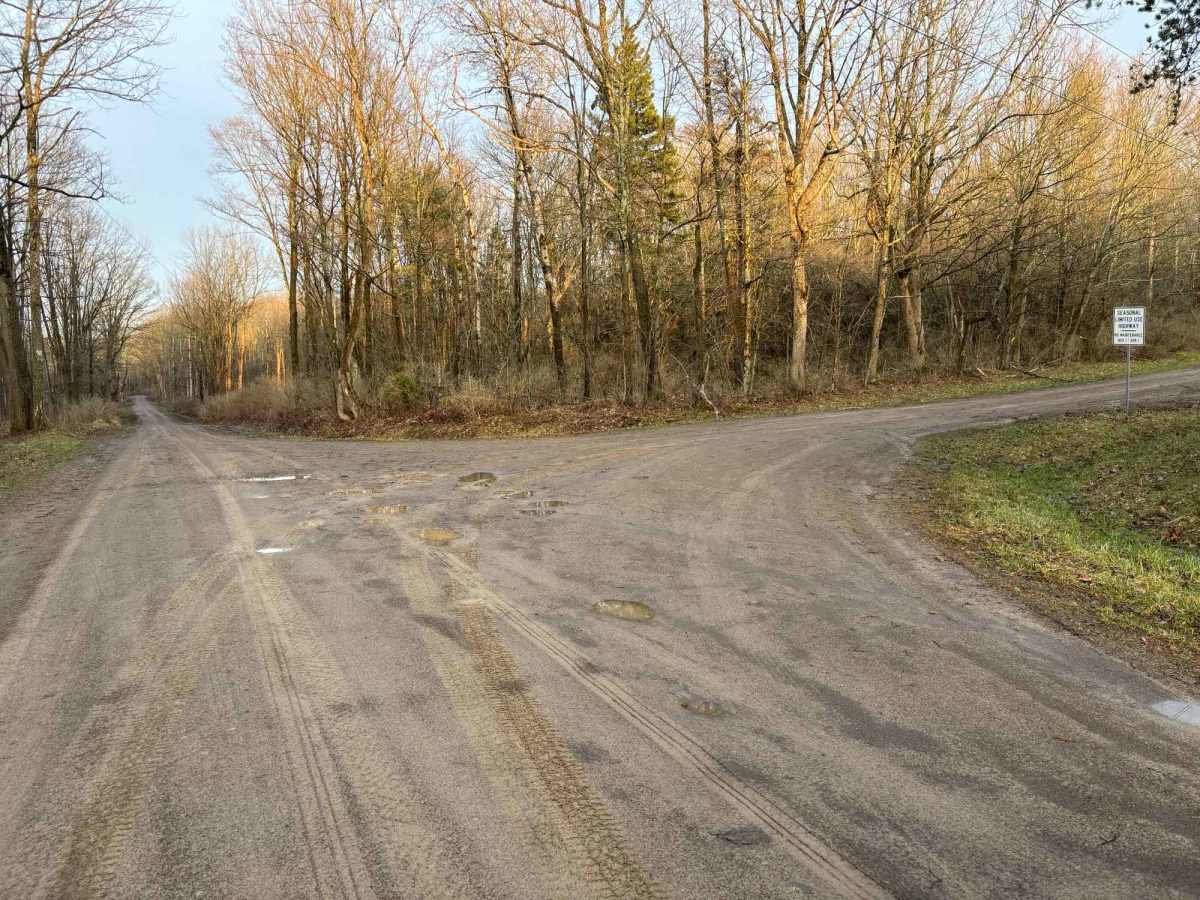 Turnpike Forest Road photo 6