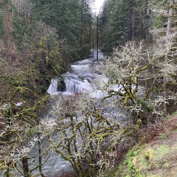 Near Trail 2