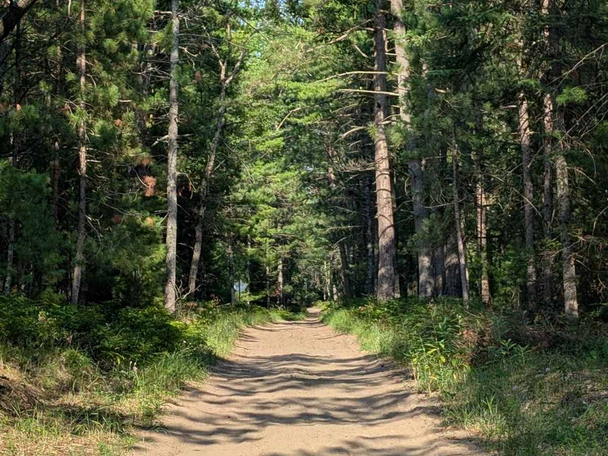 FS 4009 / FS 3678 trail photo