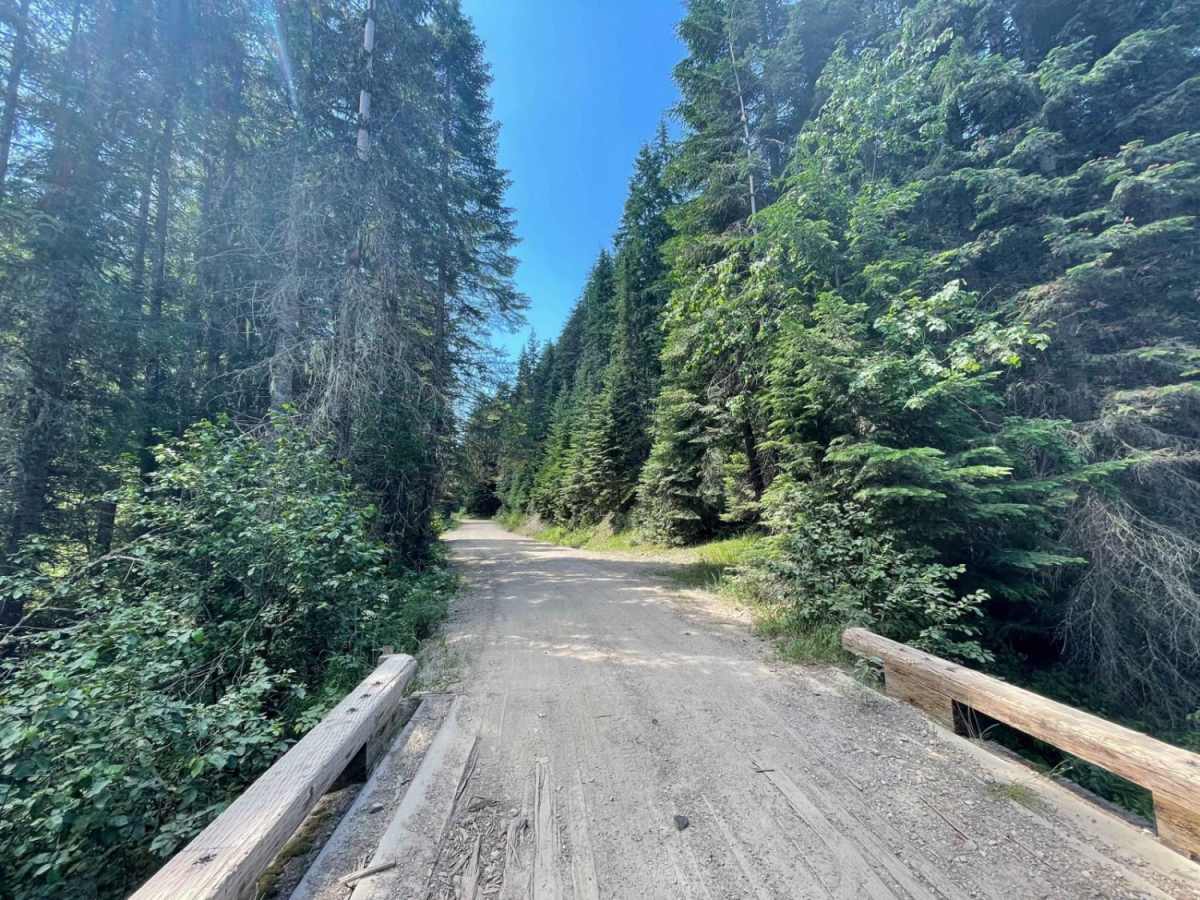 Lone Cabin Creek trail photo
