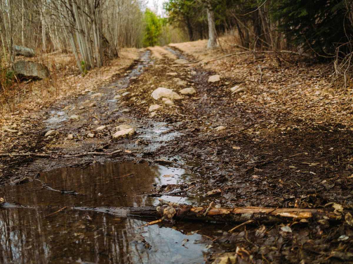 Pipeline Hill Climb Connector - KVRT trail photo