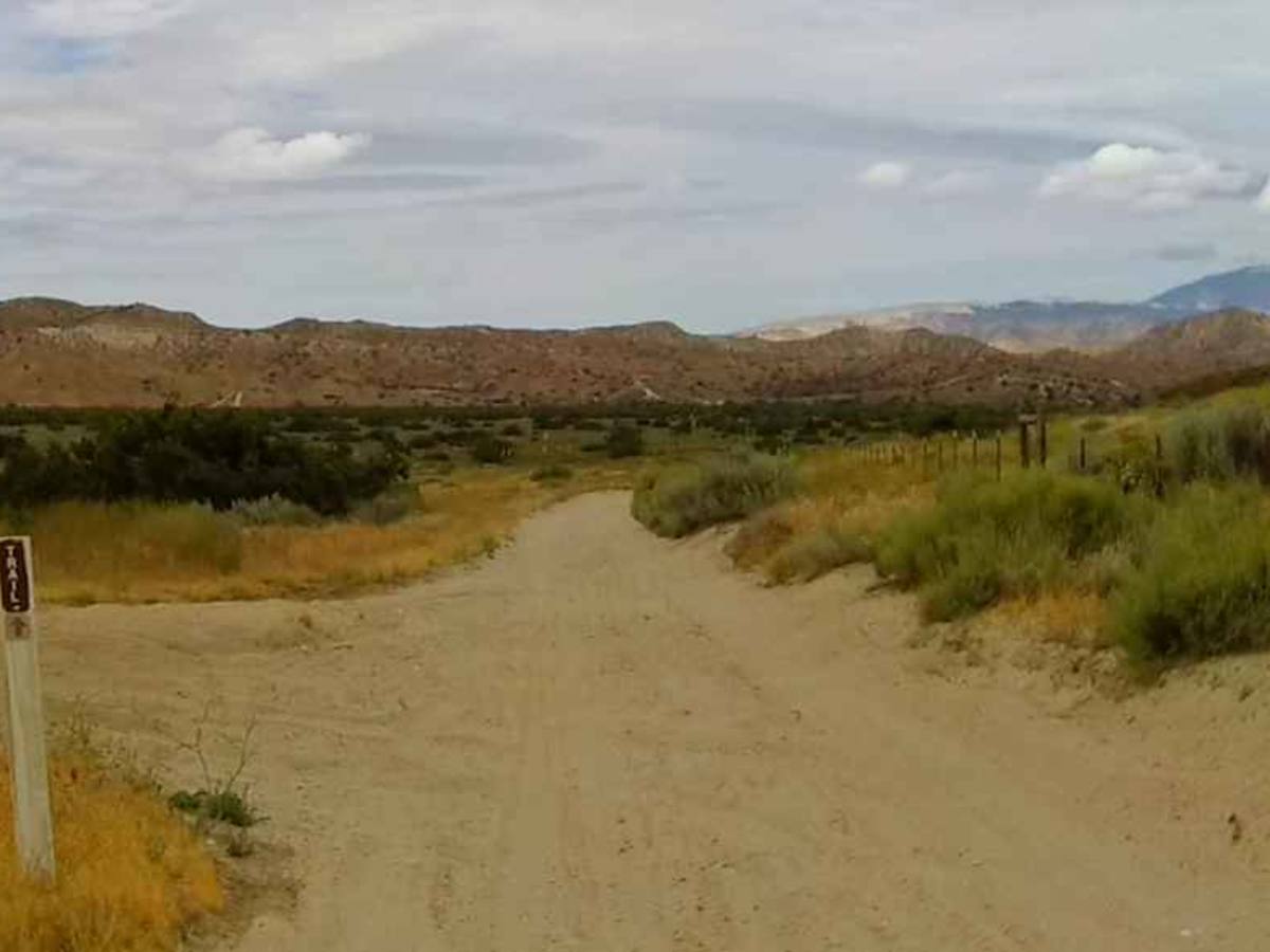 Roadrunner Trail photo 4