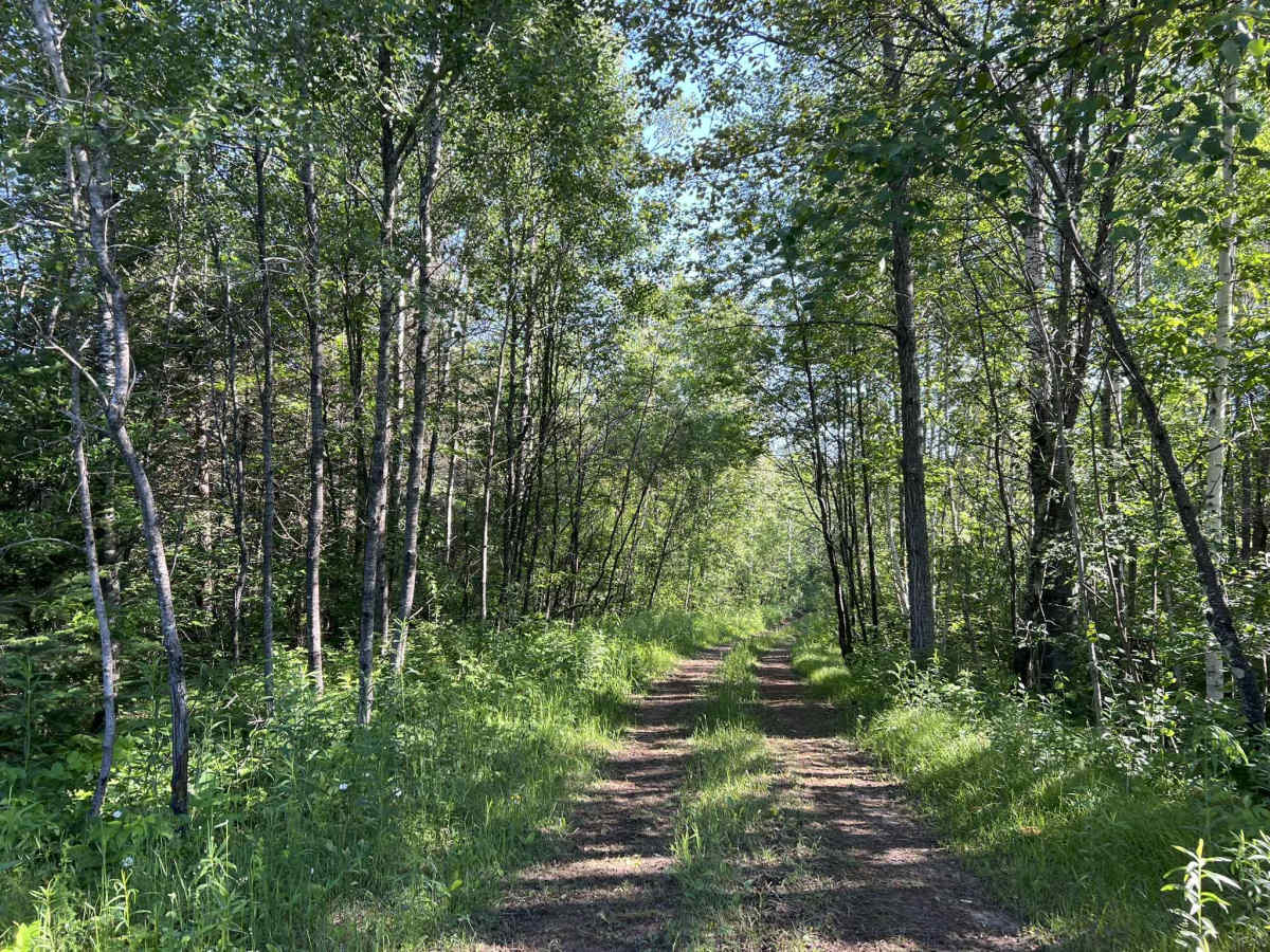 Wolf River Trail Forest County ATV/ SxS Access Trail photo 2