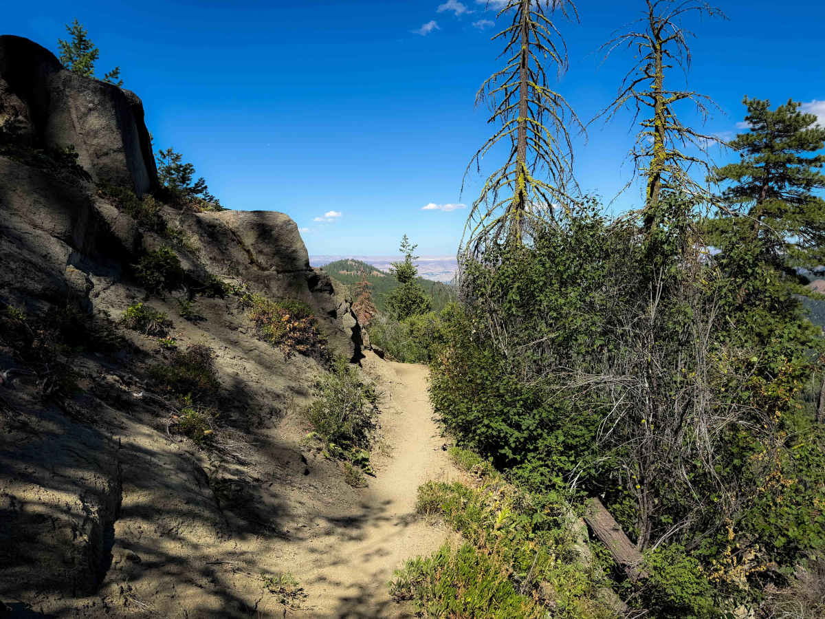 Devil’s Spur 1203  photo 5