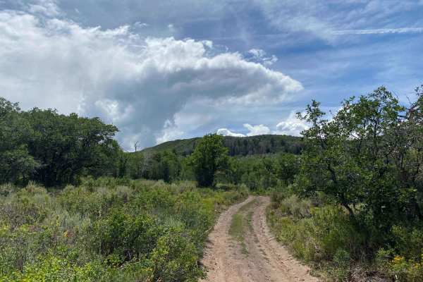 Over the Crown: BLM Road #8324