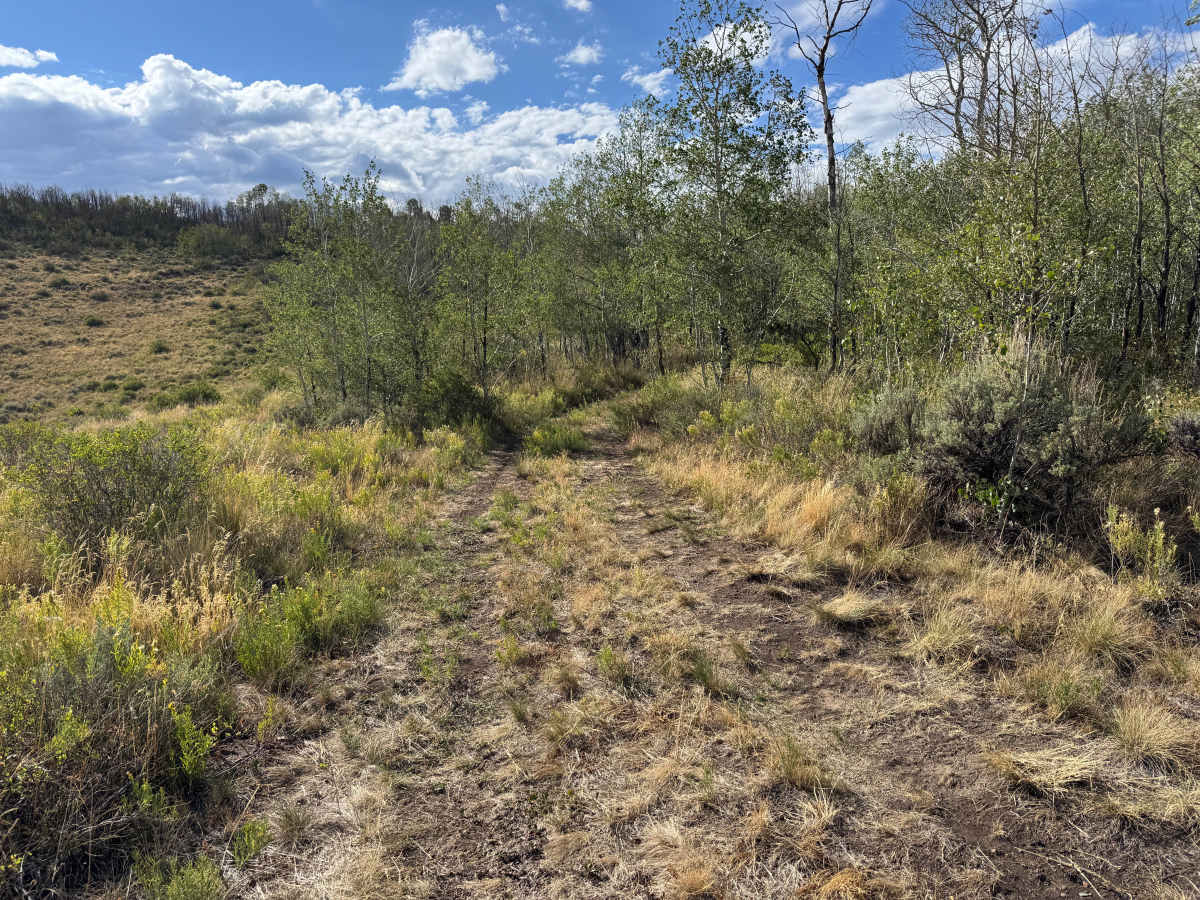 Tames Creek photo 5