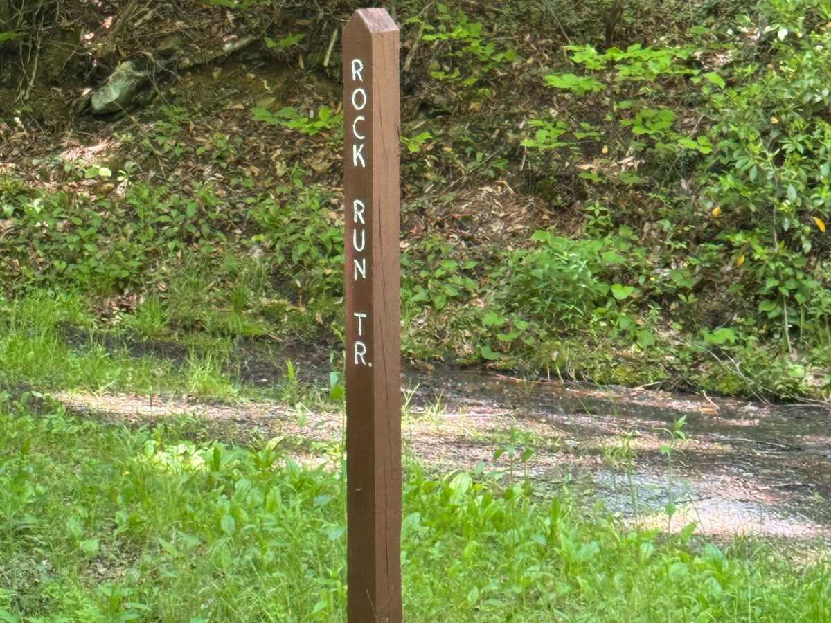 Left Branch Hyner Run Road photo 5