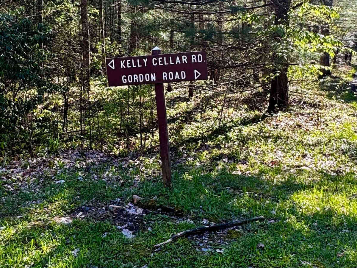 Gordon Road trail photo