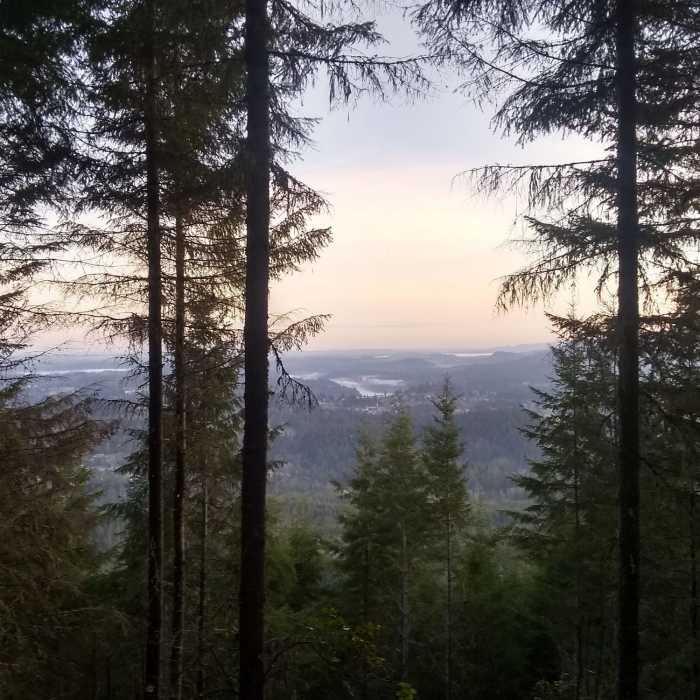 Near Hugo Peak Lookout