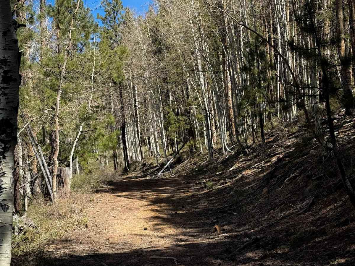 Upper 2 Mile ATV Trail  photo 3