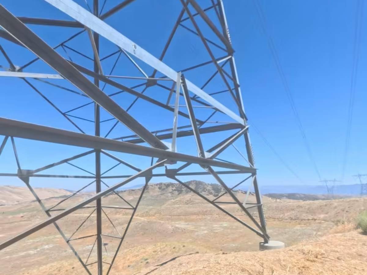 Powerline Road photo 4