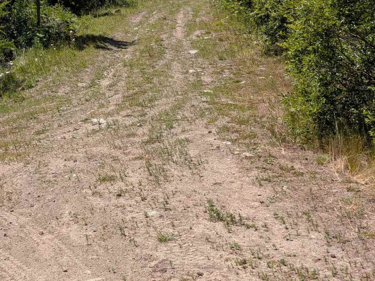 Big Toad Rd photo 3