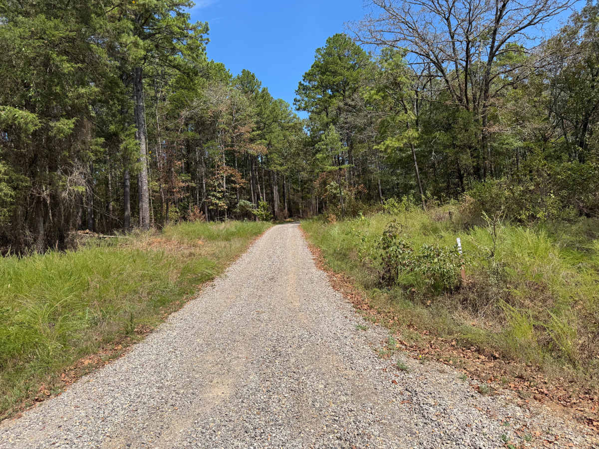 Dean Reid trail photo