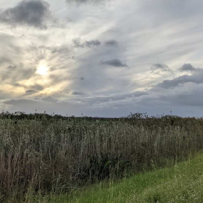 Gravel flat trail along canals and waterways! Near Loxahatchee National Wildlife Refuge