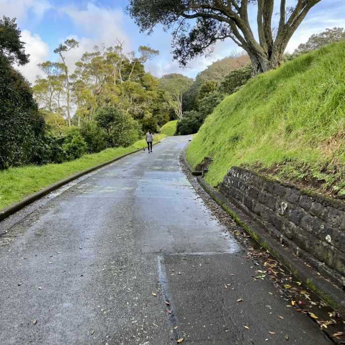 Near Mount Eden Loop