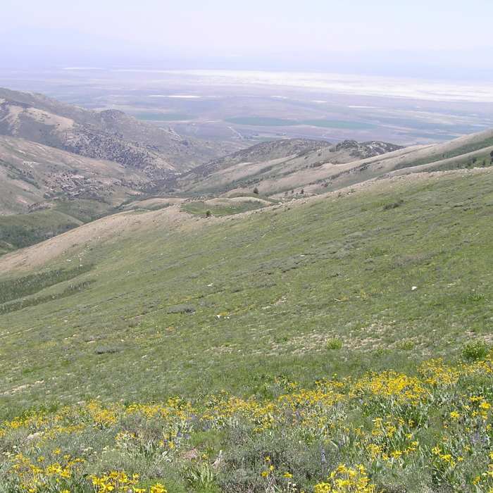 Near Overland Lake #17047