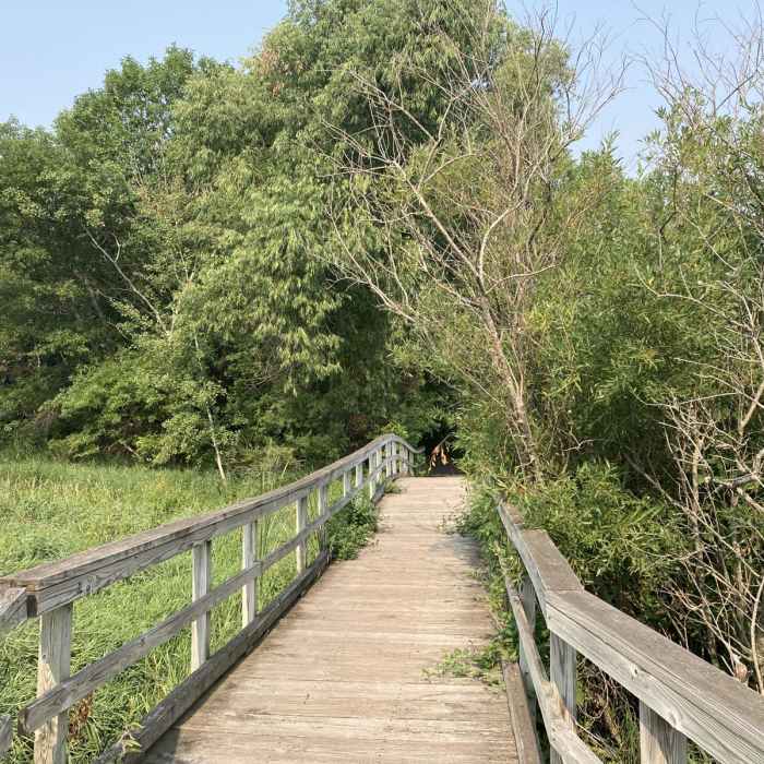 Near Lochness Park Loop Near Lochness Park Loop