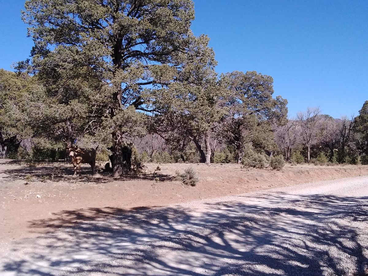 Burleson Ridge photo 2