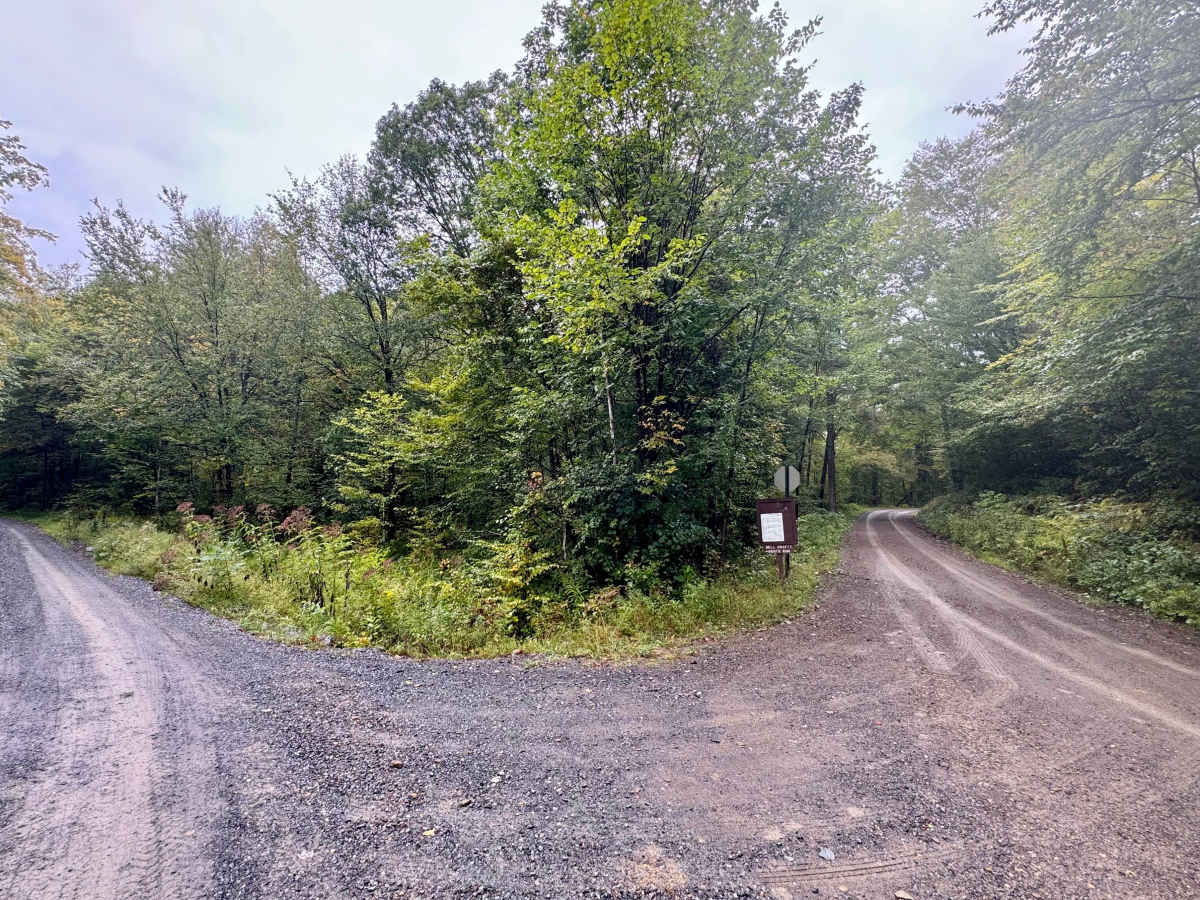 Belle Draft Road photo 3