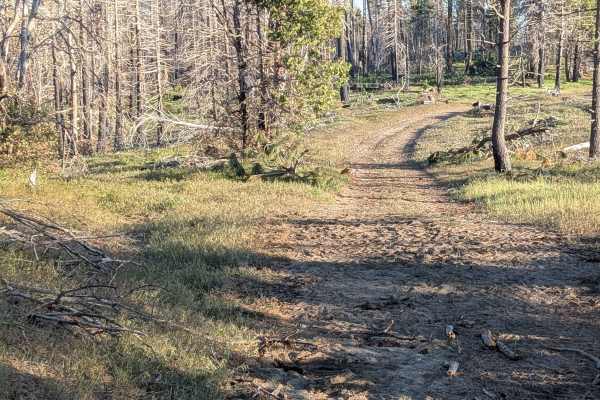 Poso Creek East - FS 26S29