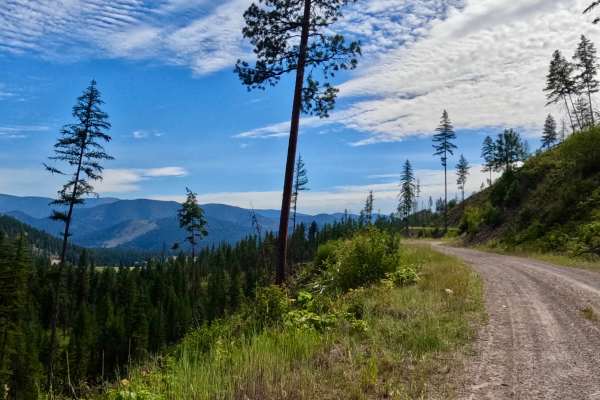 Weaver Gulch Trail