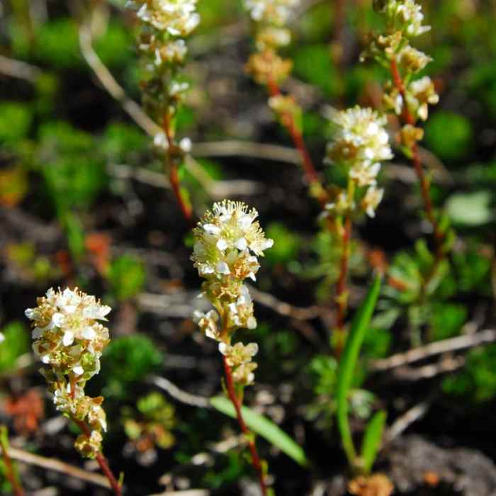 Near Broken Top Crater Hike