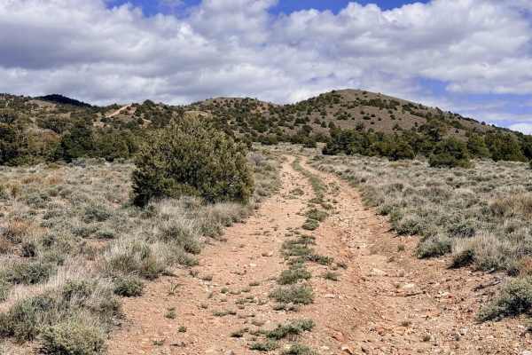 Willow Springs Bypass - FS 44429