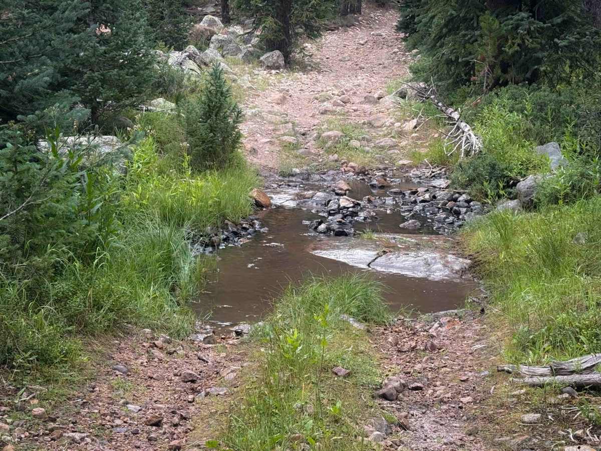 Broadhead Loop - FS 306  photo 5