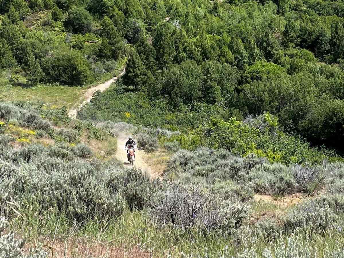 Femrite's Patrol Trail 6 photo 4