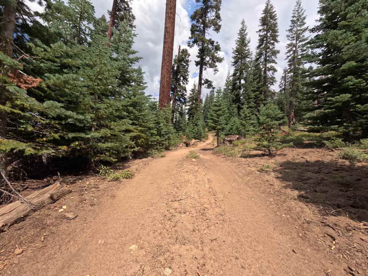 Prospect Mine - FS 5S040X photo 2