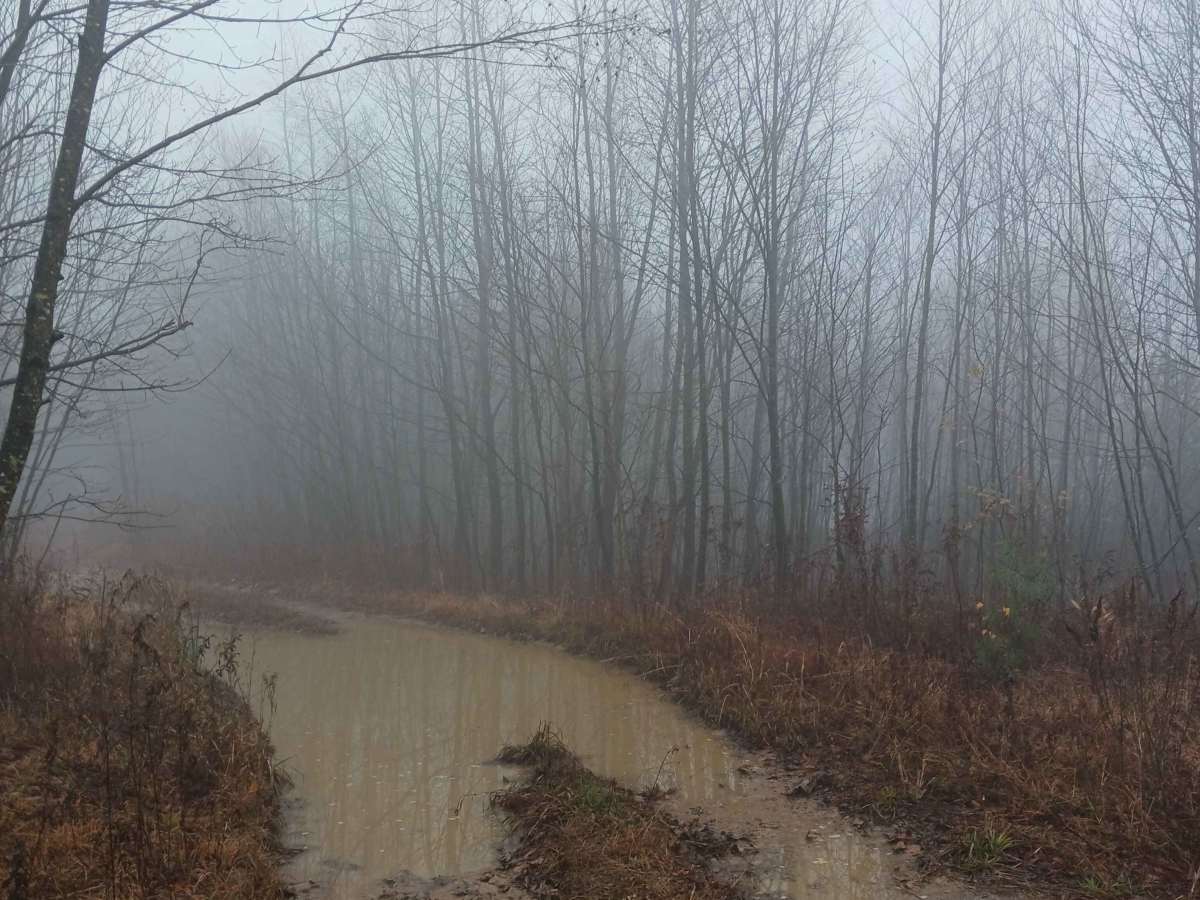 OHV 17 - Rock Run Recreation Area photo 3