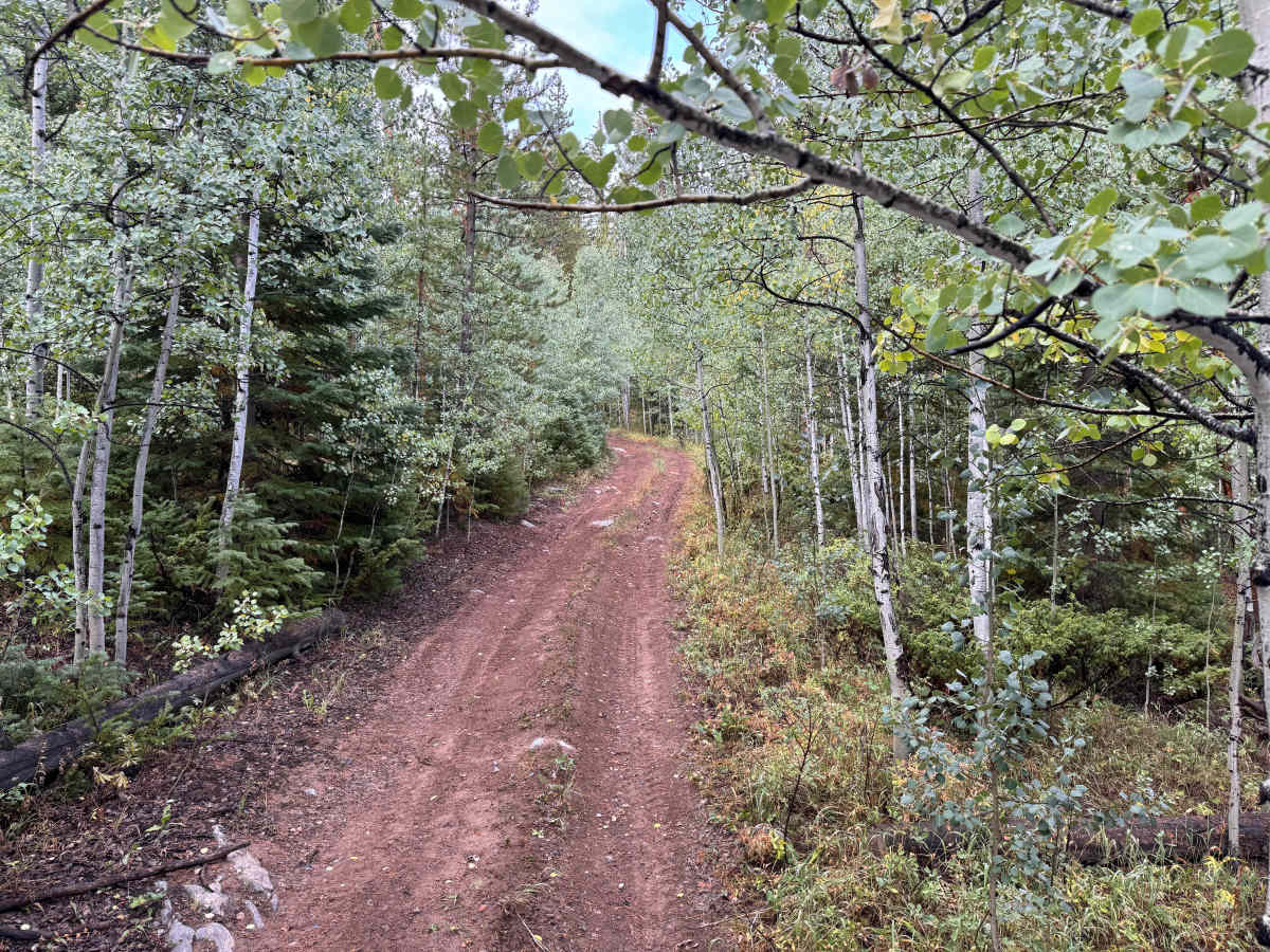 Upper Deadman Road trail photo