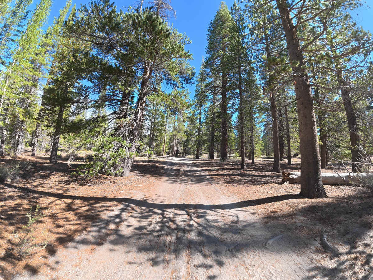 Deadman Flats - FS 3S56 photo 2
