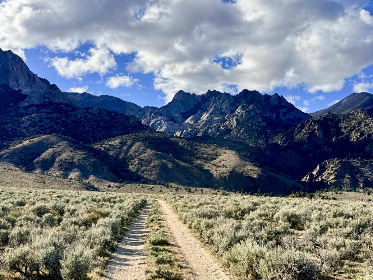 McLeod Creek - FS 43336 photo 4