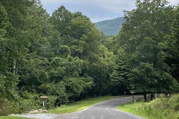 Route 654