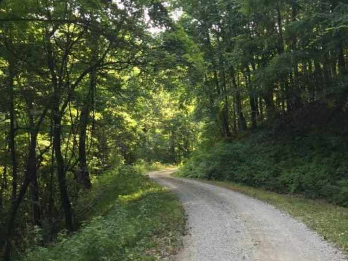 Middle Creek trail photo