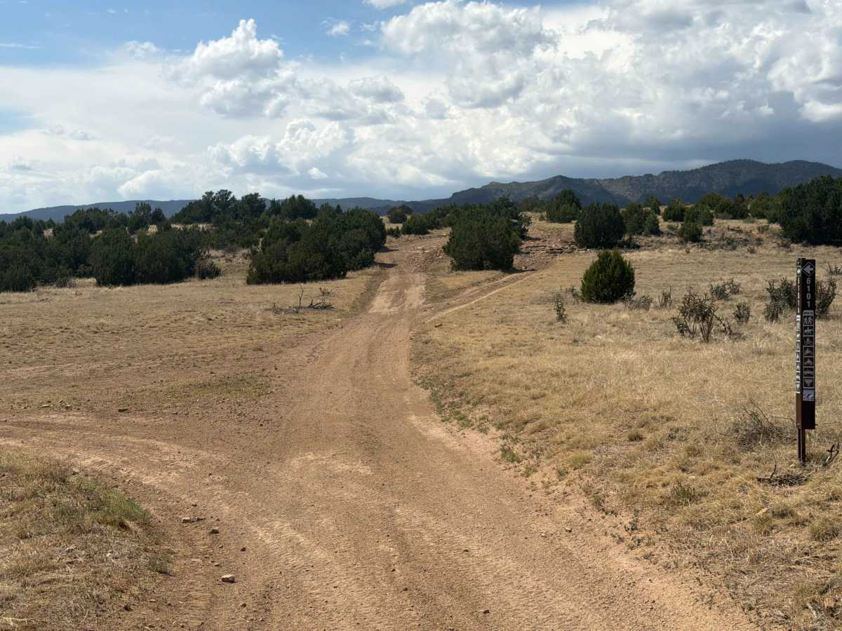 BLM 6101 photo 6