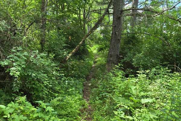 Single Track XX